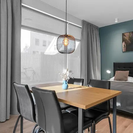 Apartment Charming In Reykajvik